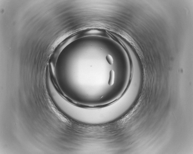 X0000088130842200705141440