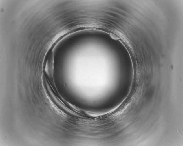 X0000088130845200705141440