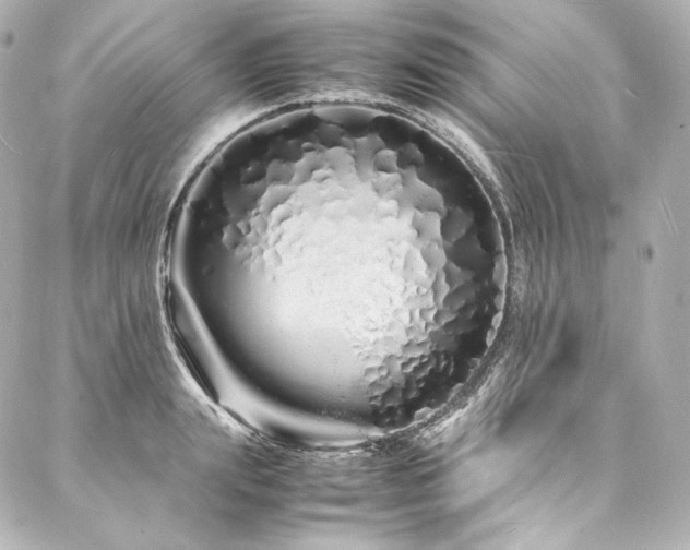 X0000088130847200705141440