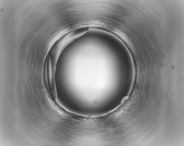X0000088130850200705141440