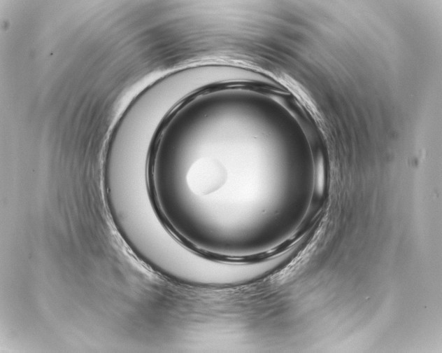 X0000088130854200705141440
