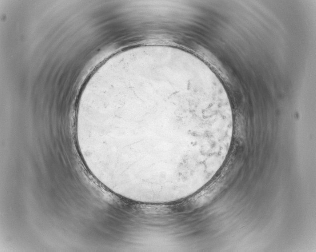 X0000088130856200705141440