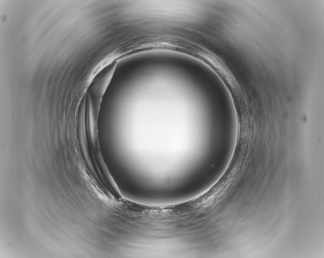 X0000088130858200705141440