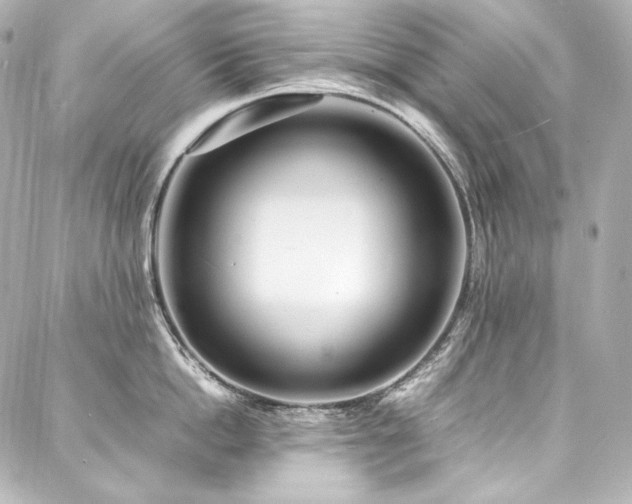X0000088130862200705141440