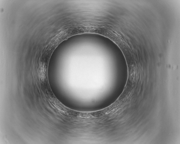 X0000088130866200705141440