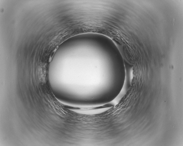 X0000088130868200705141440