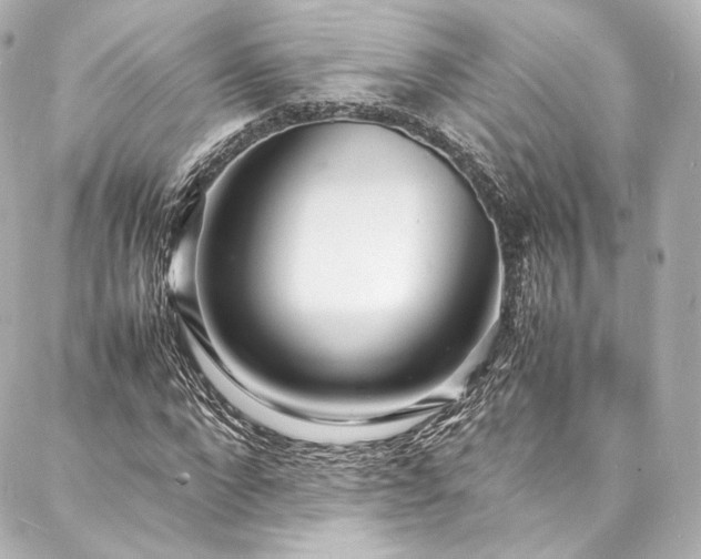 X0000088130872200705141439