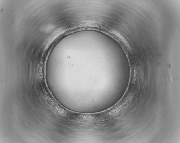 X0000088130878200705141439