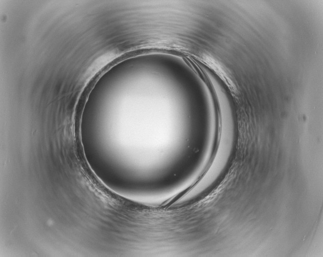 X0000088130884200705141439
