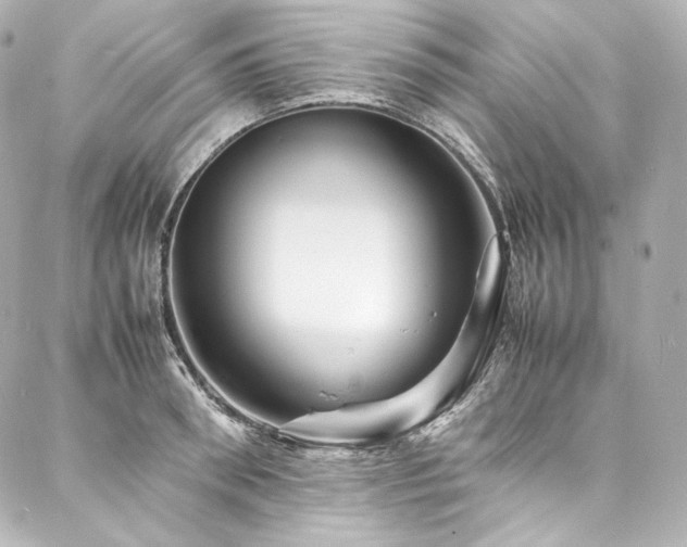 X0000088130898200705141439