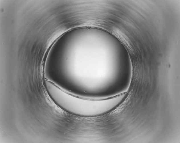 X0000088130900200705141439