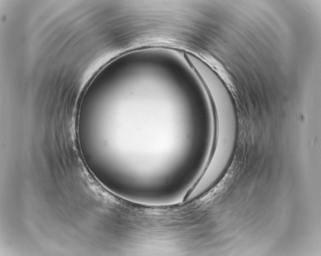 X0000088130904200705141439