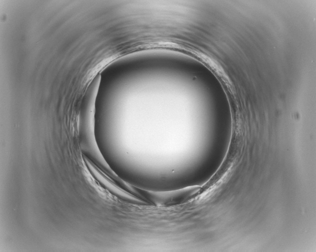 X0000088130905200705141439