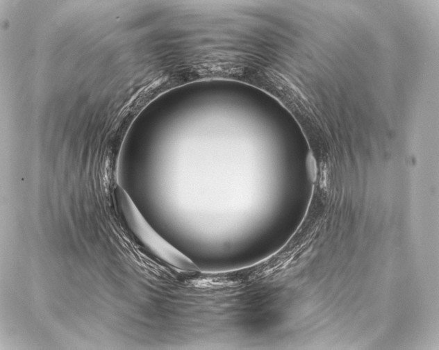 X0000088130915200705141438