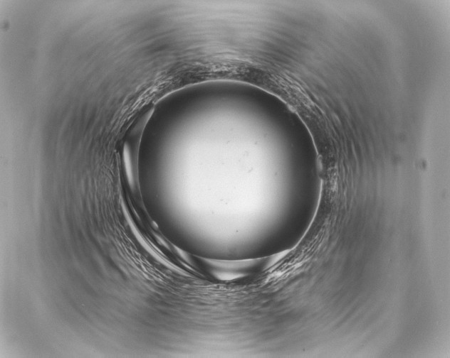 X0000088130916200705141438