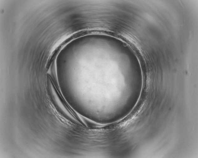 X0000088130925200705141438