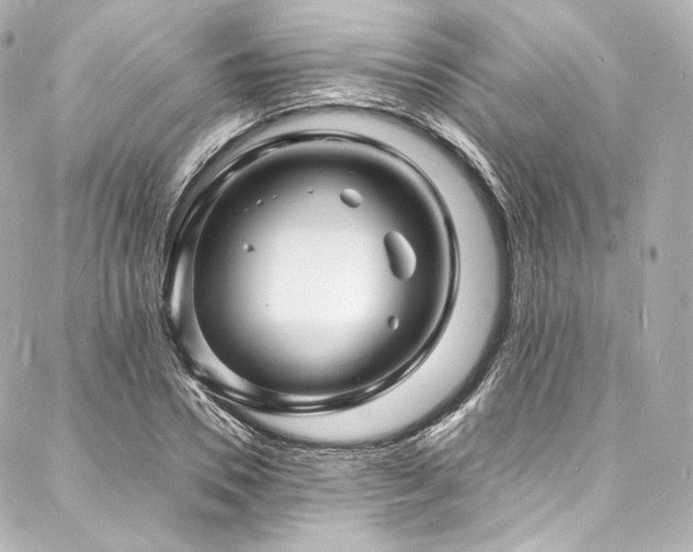 X0000088130930200705141438