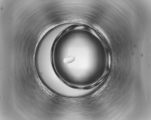 X0000088130932200705141438