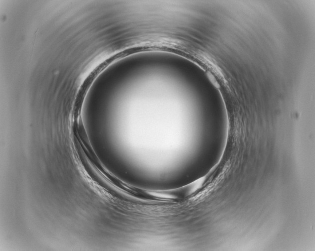 X0000088130936200705141438