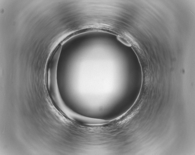X0000088130940200705141438