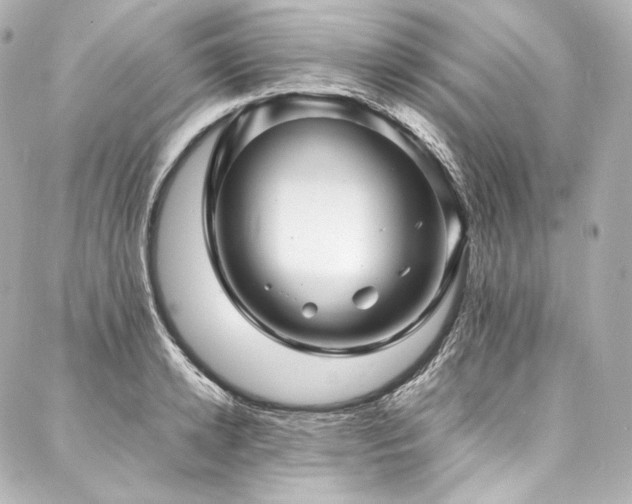 X0000088130942200705141439