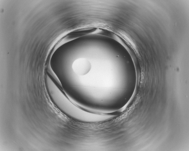 X0000088130948200705141439