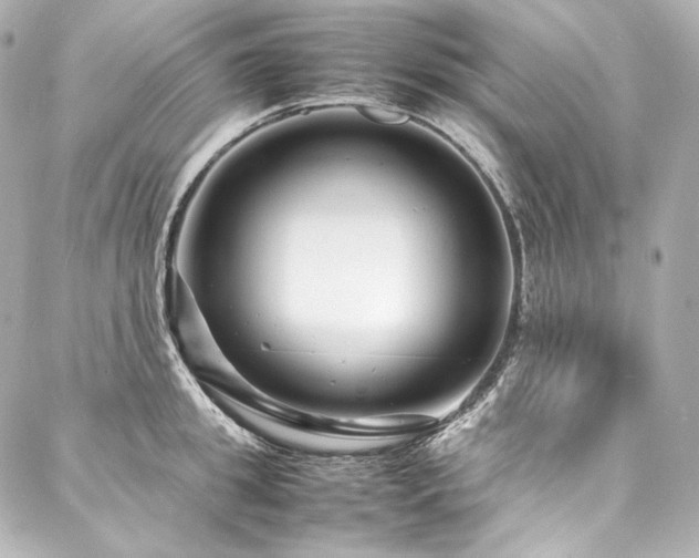 X0000088130949200705141439