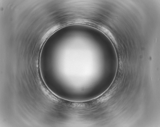 X0000088130954200705141439