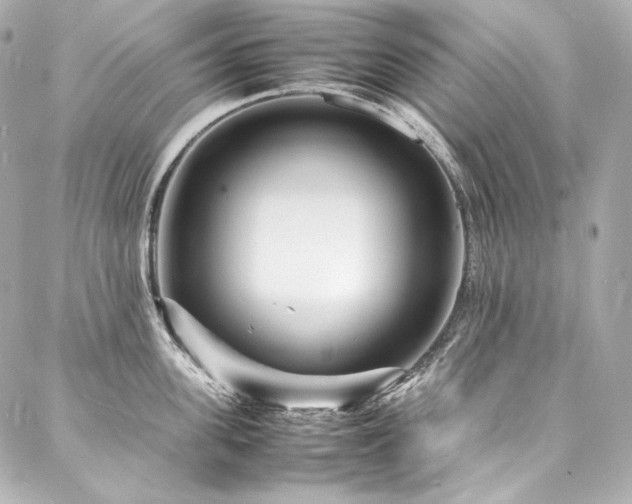 X0000088130955200705141439