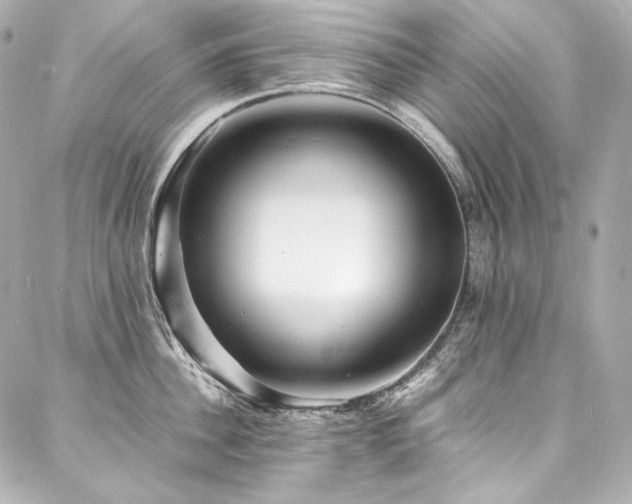 X0000088130956200705141439