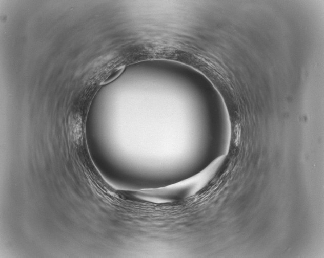X0000088130963200705141438