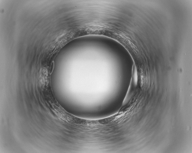 X0000088130964200705141438