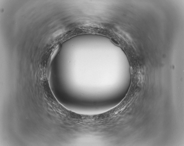 X0000088130965200705141438