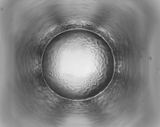 X0000088130966200705141438