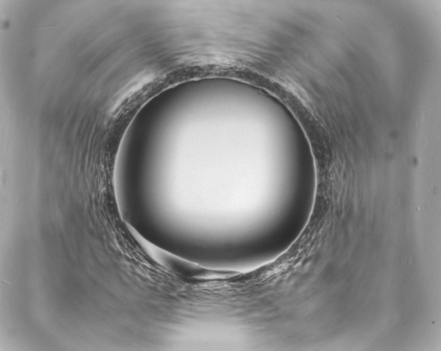X0000088130967200705141438