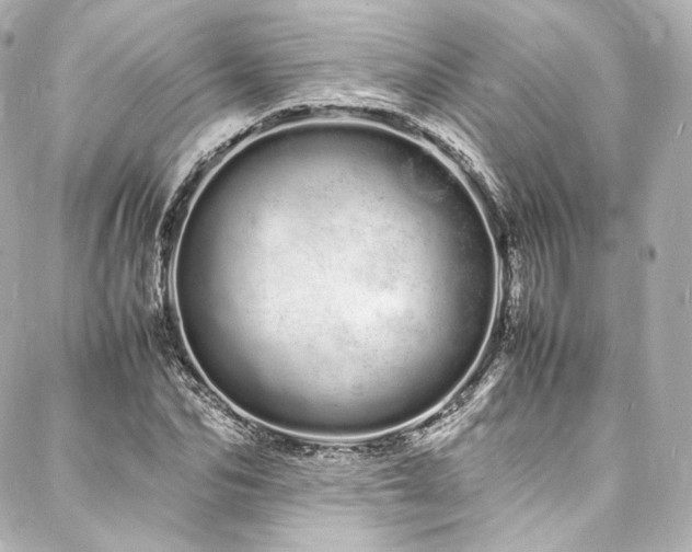 X0000088130974200705141438