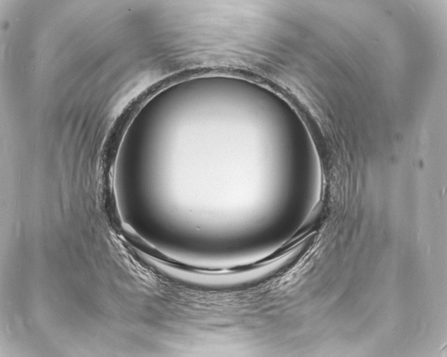 X0000088130975200705141438