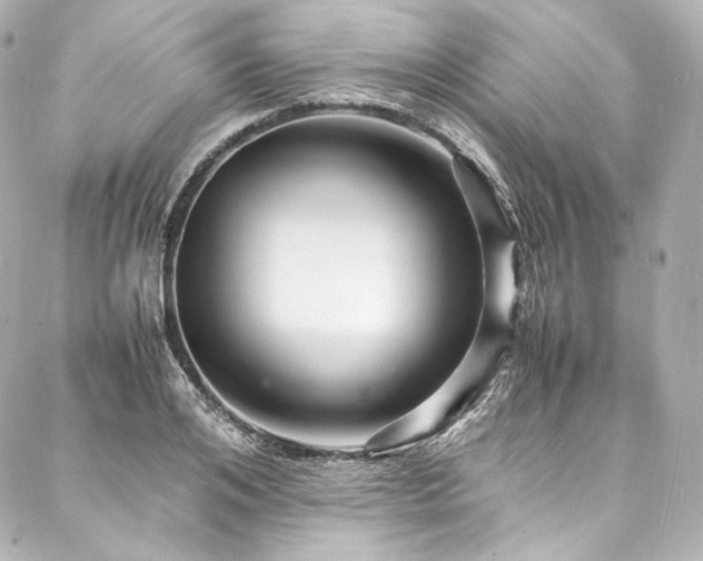 X0000088130984200705141438