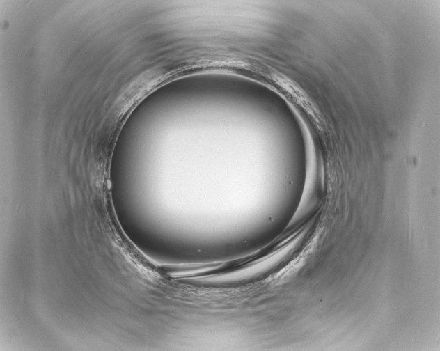 X0000088130985200705141438