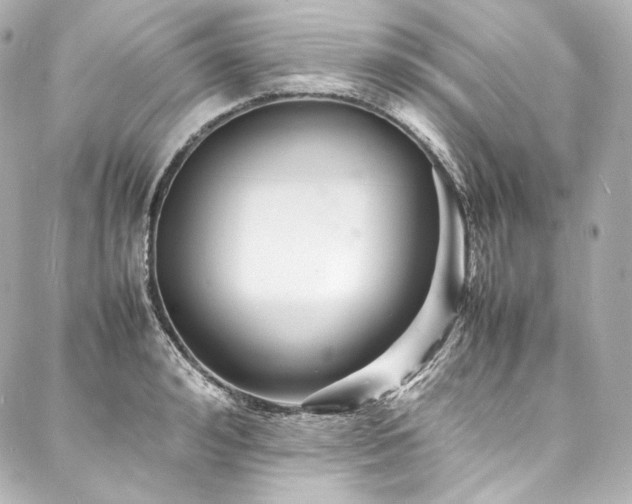 X0000088130992200705141438