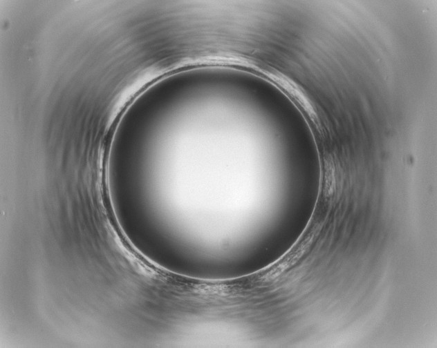 X0000088131006200705141437