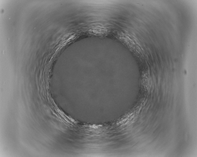 X0000088131009200705141436