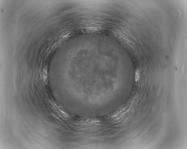 X0000088131011200705141437