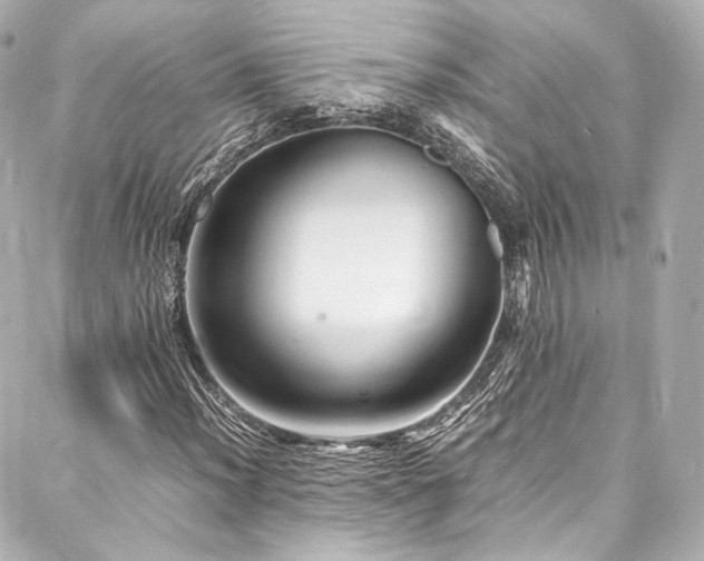 X0000088131012200705141437