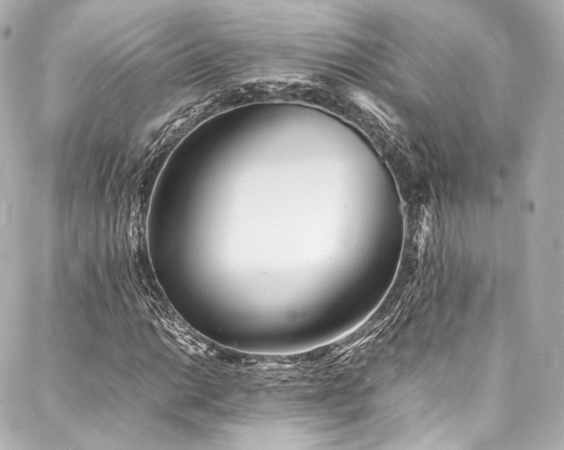 X0000088131014200705141437