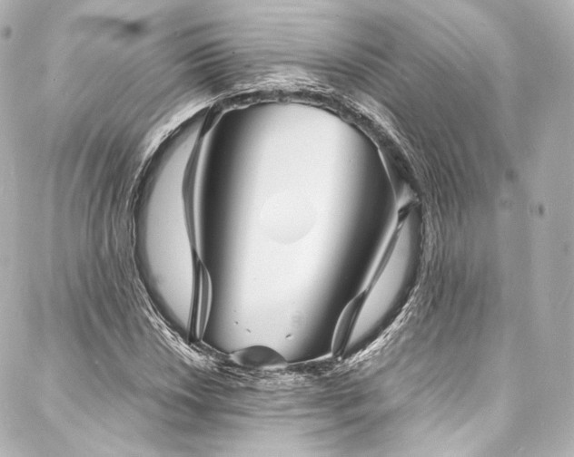 X0000088131018200705141437