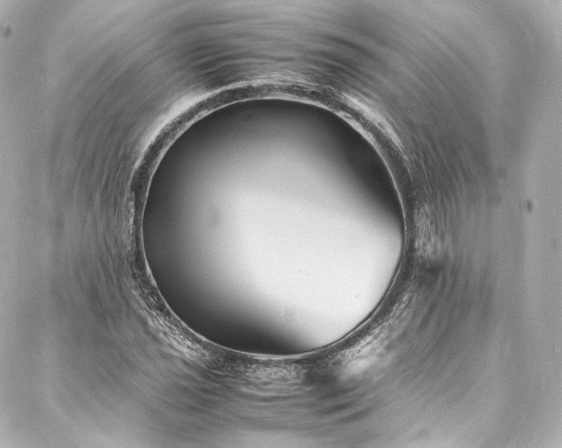 X0000088131021200705141437