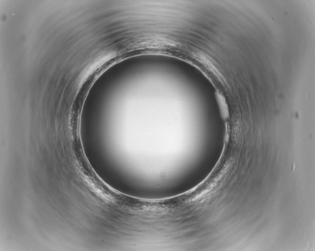 X0000088131026200705141437