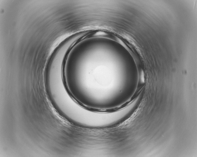 X0000088131030200705141437