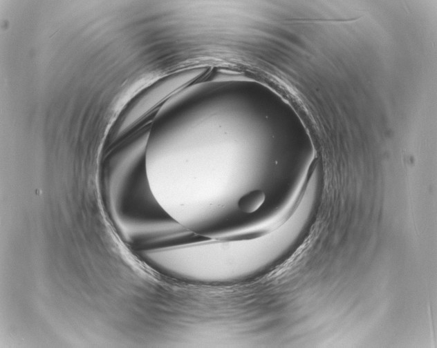 X0000088131034200705141437
